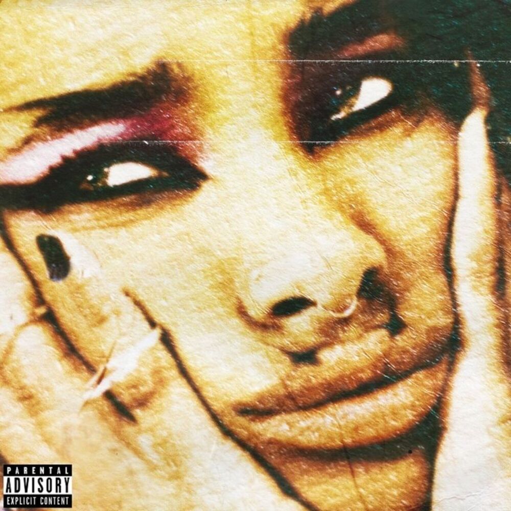 Willow - Lately I Feel Everything  CD